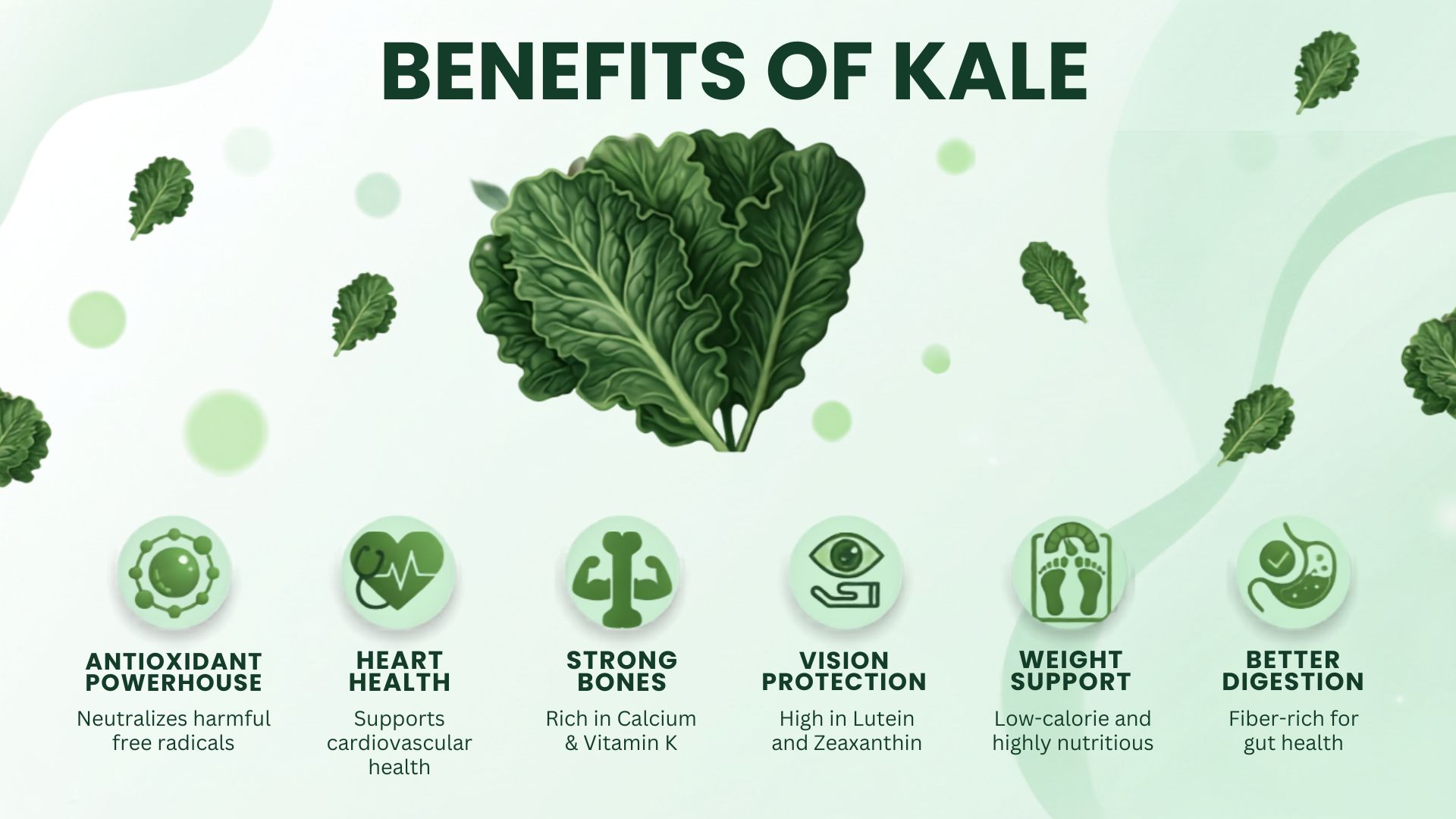 Infographic showing kale benefits including heart health, strong bones, vision support, digestion, antioxidants, and weight support.